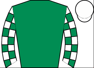 Horse silk
