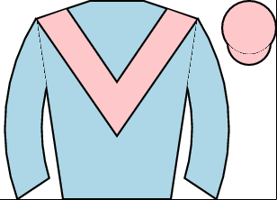 Horse silk