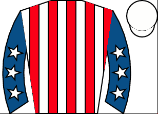 Horse silk