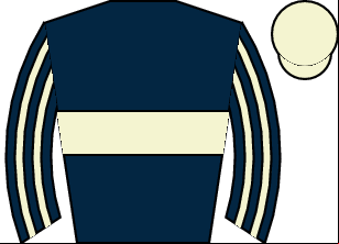 Horse silk