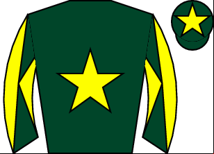 Horse silk