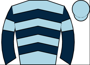 Horse silk
