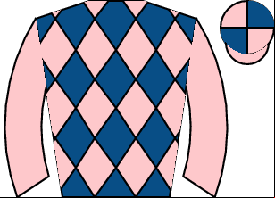 Horse silk