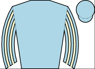 Horse silk