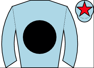 Horse silk