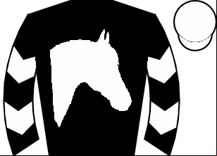 Horse silk