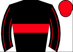 Horse silk