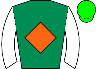 Horse silk