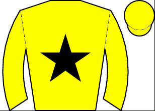 Horse silk