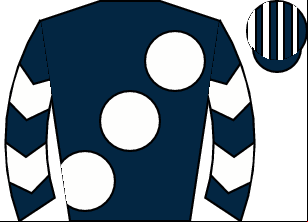 Horse silk