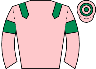 Horse silk