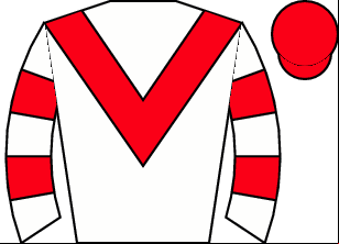 Horse silk