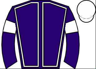 Horse silk
