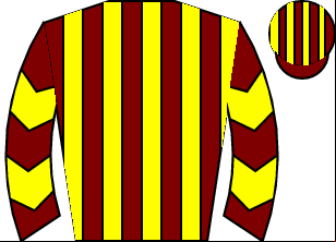Horse silk