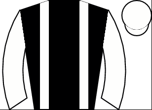 Horse silk