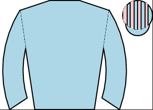 Horse silk