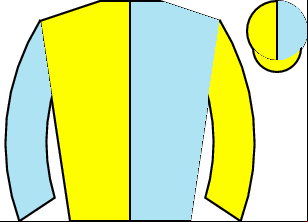 Horse silk