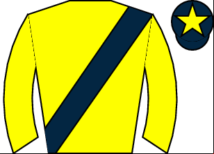 Horse silk