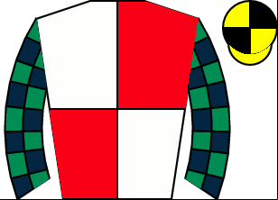Horse silk