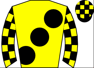 Horse silk