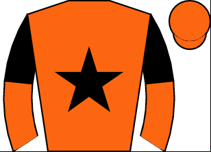 Horse silk