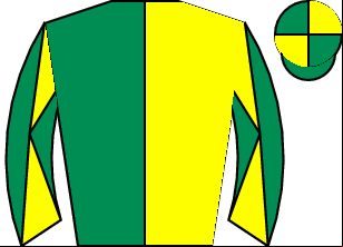 Horse silk