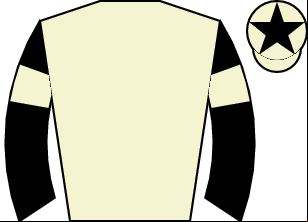 Horse silk