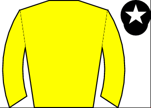 Horse silk