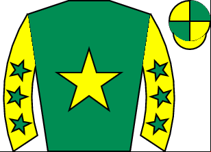 Horse silk