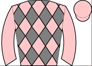 Horse silk