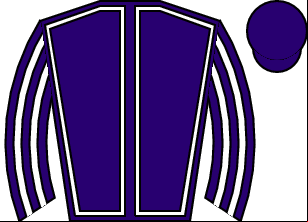 Horse silk