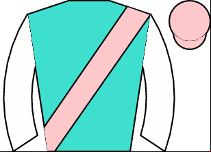 Horse silk
