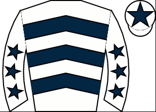 Horse silk