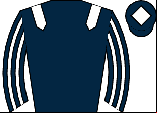 Horse silk