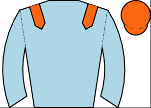 Horse silk