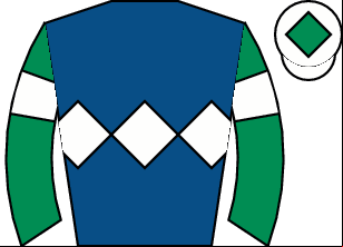 Horse silk