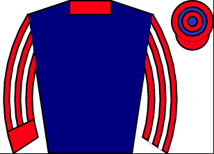 Horse silk