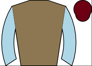 Horse silk