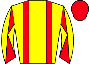 Horse silk