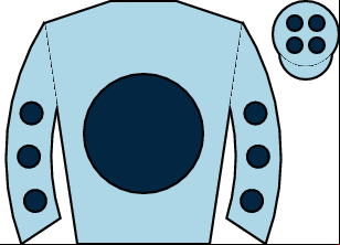 Horse silk