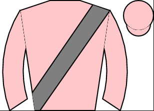 Horse silk