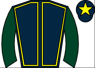 Horse silk