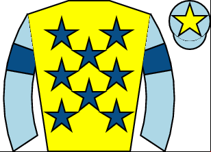Horse silk