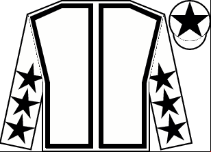 Horse silk