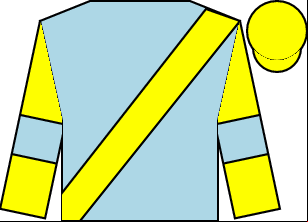 Horse silk