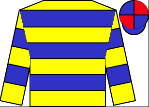 Horse silk