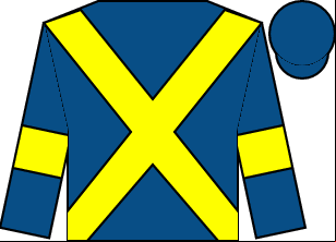 Horse silk