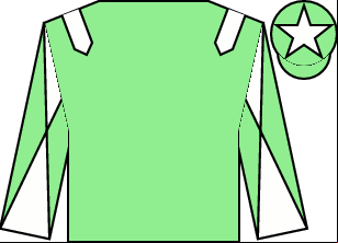 Horse silk