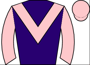Horse silk