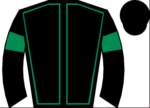 Horse silk